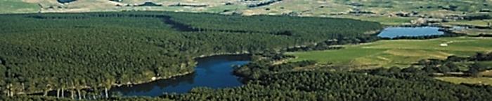 By Receiving Our FSC®-C180077 Certificate, We Carried Our Sensitivity To Nature Further